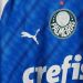 As&iacute; luce la nueva edici&oacute;n limitada y conmemorativa del Palmeiras para la Copa Libertadores