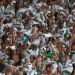 Palmeiras lanz&oacute; una campa&ntilde;a para evitar la ausencia de sus hinchas en el estadio