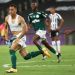 Palmeiras campe&oacute;n de la Libertadores 2020: los millones que gan&oacute; y los que recolectar&aacute; a futuro