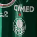 Palmeiras cerr&oacute; el primer semestre con p&eacute;rdidas de 21 millones de euros