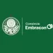 Palmeiras suma un nuevo patrocinador en un acuerdo hasta 2028