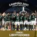 F&uacute;tbol sudamericano: De los que menos hacen correr la pelota