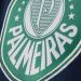 Palmeiras present&oacute; su tercera camiseta adidas