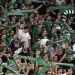 El Panathinaikos no podr&aacute; jugar ninguna competencia europea por 3 a&ntilde;os