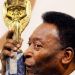 &iquest;Cu&aacute;nto se pag&oacute; por la Copa del Mundo Jules Rimet de Pel&eacute;?
