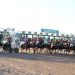 M&aacute;s de 40 mil personas celebraron en el Hip&oacute;dromo Las Flores el aniversario de Santa Fe