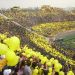 Pe&ntilde;arol y una certificaci&oacute;n de calidad
