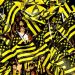 De acuerdo a un estudio, Pe&ntilde;arol tiene m&aacute;s hinchas en Uruguay que Nacional