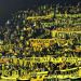 Pe&ntilde;arol recompensa a los hinchas perjudicados por los cambios de fechas de la CONMEBOL