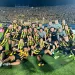 Pe&ntilde;arol reinagura un viejo lugar: cu&aacute;nto dinero invirti&oacute; y cu&aacute;ndo podr&aacute; utilizarlo