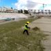 Comenz&oacute; la siembra en el nuevo estadio de Pe&ntilde;arol