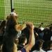 El &ldquo;perro barra&rdquo; de Quilmes que ya es furor en redes sociales
