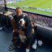 M&eacute;xico tiene el primer estadio pet friendly del mundo 