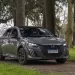 El Peugeot 208 fue el veh&iacute;culo m&aacute;s vendido del mercado argentino en 2024
