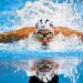 &iquest;Cu&aacute;nto gan&oacute; Phelps por sus medallas en Juegos Ol&iacute;mpicos?