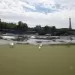 Pol&eacute;mica en los Juegos Ol&iacute;mpicos: &iquest;qu&eacute; pasa con el agua del r&iacute;o Sena?