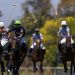 Historias detr&aacute;s del polo: el inspirador relato de padre e hijo en el Abierto de Tortugas