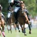 Abierto Argentino de Polo &iquest;cu&aacute;nto gana cada polista y cu&aacute;nto pagan las marcas?
