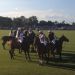 Temporada Oficial de Primavera 2017