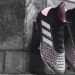 adidas suma los Predator femeninos a su l&iacute;nea &ldquo;Exhibit pack&rdquo;