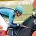 El Nuevo Hip&oacute;dromo de Las Flores adelanta la Navidad este domingo