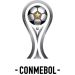 La Conmebol confirm&oacute; los premios para la Sudamericana 