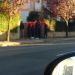 Los jugadores del Baskonia fueron hasta la casa de Prigioni para pedirle que no renuncie