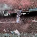 El promedio de espectadores por partido en la Primera Divisi&oacute;n del f&uacute;tbol argentino en 2022