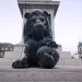 PUMA reemplaza a Nike y producir&aacute; el bal&oacute;n oficial de la Premier League en 2025/2026