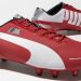 Puma y BMW lanzan una versi&oacute;n conjunta de los EvoSpeed