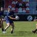 Se viene Los Pumas-Australia, &iquest;C&oacute;mo est&aacute; el historial?