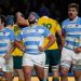 Los Pumas ser&aacute;n locales en Inglaterra para recibir a Australia