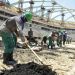 Holanda demand&oacute; a la FIFA por explotaciones laborales en las obras de Qatar 2022