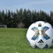 &iquest;Qu&eacute; impulsan los clubes de la Liga Profesional con el torneo de 30 equipos?
