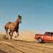 RAM fortalece su propuesta comercial en mayo con financiación a tasa 0% y opciones a medida para toda su gama