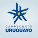 &iquest;Cu&aacute;nto vale el f&uacute;tbol uruguayo?