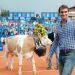 Federer recibi&oacute; otra vaca de regalo en Gstaad