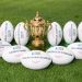 Se pondr&aacute;n a la venta 100 mil entradas para el Mundial de Rugby 2015