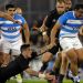 As&iacute; ser&aacute; el 2017 del rugby argentino entre Pumas, Jaguares y m&aacute;s