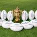 La Copa del Mundo de Rugby 2015 generar&aacute; m&aacute;s de 1.5 mil millones de d&oacute;lares