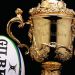 Se abrieron las postulaciones para la RWC 2023