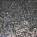 &iquest;Cu&aacute;nto sale ir a Asunci&oacute;n a ver a Racing en la final de la Copa Sudamericana?