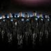 El seleccionado #Galaxy11 cada vez m&aacute;s completo 