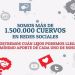 San Lorenzo pide colaboraci&oacute;n en las redes sociales para la vuelta a Boedo