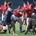 La Selecci&oacute;n de Chile clasific&oacute; por primera vez al Mundial de Rugby, &iquest;con qui&eacute;n compartir&aacute;n grupo?
