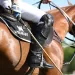 Stanley, presente en el 130&ordm; Abierto Argentino de Polo en Palermo