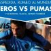 Los Teros se despedir&aacute;n de su gente enfrentando a Los Pumas