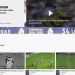 Twitch present&oacute; su categor&iacute;a de deportes con contenido exclusivo de los equipos de f&uacute;tbol m&aacute;s importantes