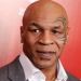 Mike Tyson se aleja del deporte e invierte en el cultivo de marihuana