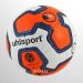 La Ligue 1 utilizar&aacute; pelotas Uhlsport desde 2017